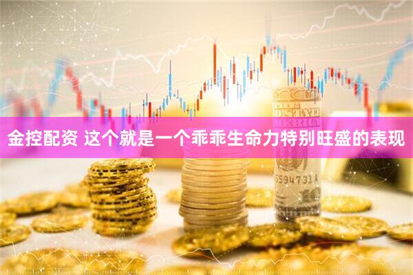 金控配资 这个就是一个乖乖生命力特别旺盛的表现