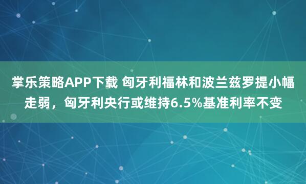 掌乐策略APP下载 匈牙利福林和波兰兹罗提小幅走弱，匈牙利央行或维持6.5%基准利率不变