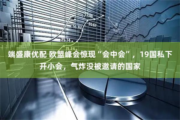 端盛康优配 欧盟峰会惊现“会中会”，19国私下开小会，气炸没被邀请的国家