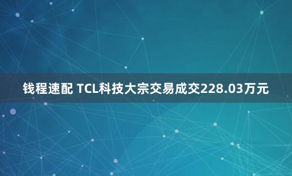 钱程速配 TCL科技大宗交易成交228.03万元